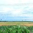  Land for sale in Samraong Tong, Kampong Speu, Voa Sar, Samraong Tong