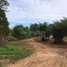  Land for sale in Sangthong, Vientiane, Sangthong