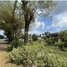  Land for sale in Preah Sihanouk, Andoung Thma, Prey Nob, Preah Sihanouk