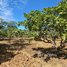  Land for sale in Choam Ksant, Preah Vihear, Sror Aem, Choam Ksant