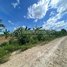  Land for sale in Phnum Proek, Battambang, Ou Rumduol, Phnum Proek
