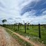 3 Bedroom House for sale in Kampong Speu, Chan Saen, Odongk, Kampong Speu