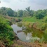  Land for sale in Chhuk, Kampot, Trapeang Phleang, Chhuk
