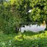  Land for sale in Khsach Kandal, Kandal, Svay Romiet, Khsach Kandal