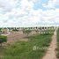  Land for sale in Cambodia, Tbaeng, Kampong Svay, Kampong Thom, Cambodia