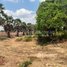  Land for sale in Chaom Chau, Pur SenChey, Chaom Chau