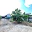  Land for sale in Preaek Thmei, Chbar Ampov, Preaek Thmei