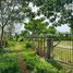  ដី for sale in ស្រុកសៀមរាប, ខេត្តសៀមរាប, ឃុំស្លក្រាម, ស្រុកសៀមរាប