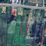  ដី for sale in ខេត្តកំពង់ស្ពឺ, ឃុំប្រាំបីមុំ, ស្រុកថ្ពង, ខេត្តកំពង់ស្ពឺ