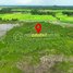  Land for sale in Khvav, Samraong, Khvav