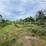  Land for sale in Khsach Kandal, Kandal, Sanlung, Khsach Kandal