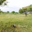  Land for sale in Khsach Kandal, Kandal, Preaek Ampil, Khsach Kandal