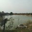 2 Bedroom House for sale in Takeo, Boeng Tranh Khang Tboung, Samraong, Takeo