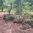  Land for sale in Stung Treng, Stueng Traeng, Stueng Traeng, Stung Treng