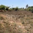  Land for sale in Kampong Speu, Phnom Touch, Odongk, Kampong Speu