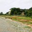  Land for sale in Praek Pnov, Phnom Penh, Ponhea Pon, Praek Pnov