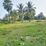  ដី for sale in ខេត្តកំពត, កូនសត្វ, ទឹកឈូ, ខេត្តកំពត