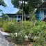  Land for sale in Prey Nob, Preah Sihanouk, Ream, Prey Nob