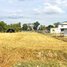  Land for sale in Kampong Thom, Kampong Chen Tboung, Stoung, Kampong Thom