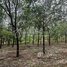  Land for sale in Kratie, Srae Char, Snuol, Kratie