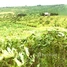 Land for sale in Kratie, Kanhchor, Chhloung, Kratie