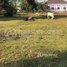  Land for sale in Kampong Svay, Kampong Thom, Trapeang Ruessei, Kampong Svay