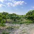  Land for sale in Stung Treng, Ou Svay, Thala Barivat, Stung Treng