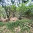  Land for sale in S'ang, Kandal, Preaek Koy, S'ang