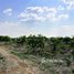  Land for sale in Stung Treng, Ou Svay, Thala Barivat, Stung Treng