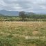  Land for sale in Kampot, Prey Thnang, Tuek Chhou, Kampot