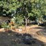 1 Bedroom Villa for sale in Angk Snuol, Kandal, Prey Puoch, Angk Snuol