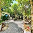 ដី for sale in ខេត្តកំពត, សង្កាត់អណ្ដូងខ្មែរ, ខេត្តកំពត, ខេត្តកំពត