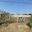  Land for sale in Praek Pnov, Phnom Penh, Kouk Roka, Praek Pnov