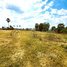  Land for sale in Chamkar Mon, Phnom Penh, Tuol Tumpung Ti Muoy, Chamkar Mon