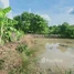  Land for sale in Preah Vihear, Sror Aem, Choam Ksant, Preah Vihear
