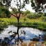  Land for sale in Sla Kram, Krong Siem Reap, Sla Kram