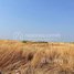  Land for sale in Kratie, Chrouy Banteay, Prek Prasab, Kratie