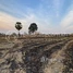  Land for sale in Kampong Speu, Veal Pong, Odongk, Kampong Speu