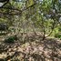 Land for sale in Stung Treng, Sekong, Siem Pang, Stung Treng