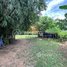  Land for sale in Siem Reab, Krong Siem Reap, Siem Reab