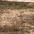 Land for sale in Angk Snuol, Kandal, Peuk, Angk Snuol