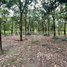 Land for sale in Kratie, Pir Thnu, Snuol, Kratie