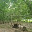  Land for sale in Kratie, Pir Thnu, Snuol, Kratie