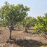  Land for sale in Stung Treng, Srae Sambour, Siem Pang, Stung Treng