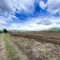  Land for sale in Rotonak Mondol, Battambang, Reaksmei Songha, Rotonak Mondol
