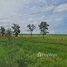  Land for sale in Oddar Meanchey, Pongro, Chong Kal, Oddar Meanchey