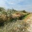  Land for sale in Dangkao, Phnom Penh, Dangkao, Dangkao