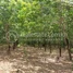  Land for sale in Kratie, Pir Thnu, Snuol, Kratie