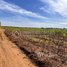  Land for sale in Kratie, Damrei Phong, Chhloung, Kratie