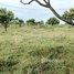  Land for sale in Khsach Kandal, Kandal, Preaek Ampil, Khsach Kandal